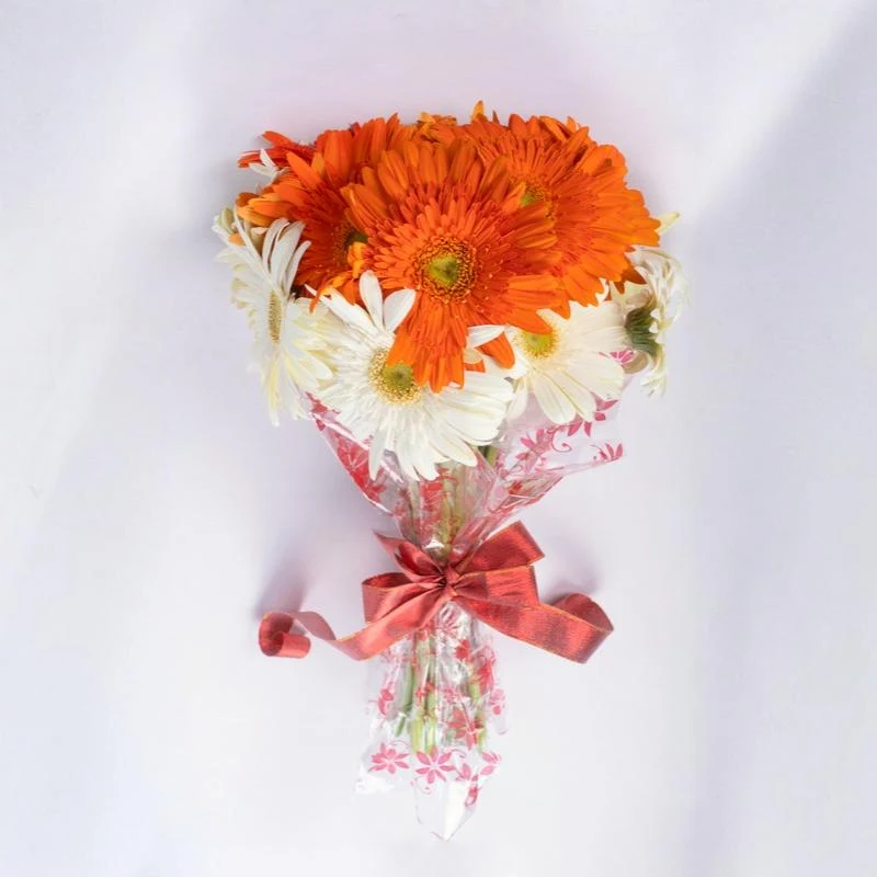 10 Mixed Gerbera Bunch