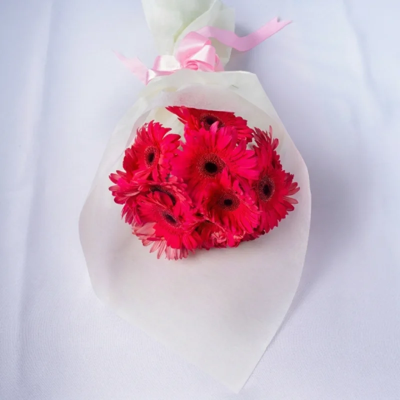 10 Pink Gerbera Bunch